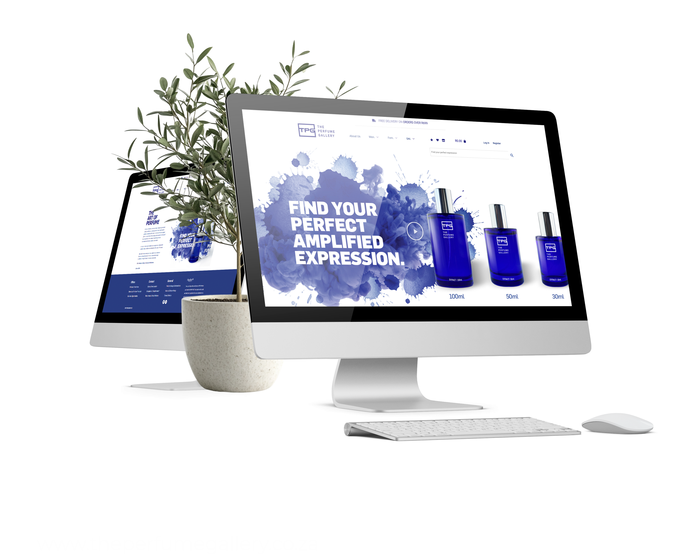 Olive Media digital workspace